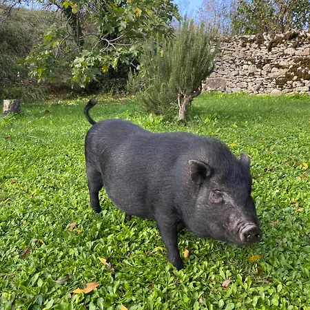 Casa vacanze Gite insolite 4 personnes près de Cahors