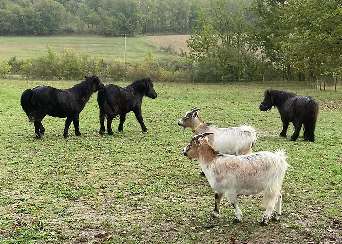 Insolite 4 Personnes Près De Cahors *